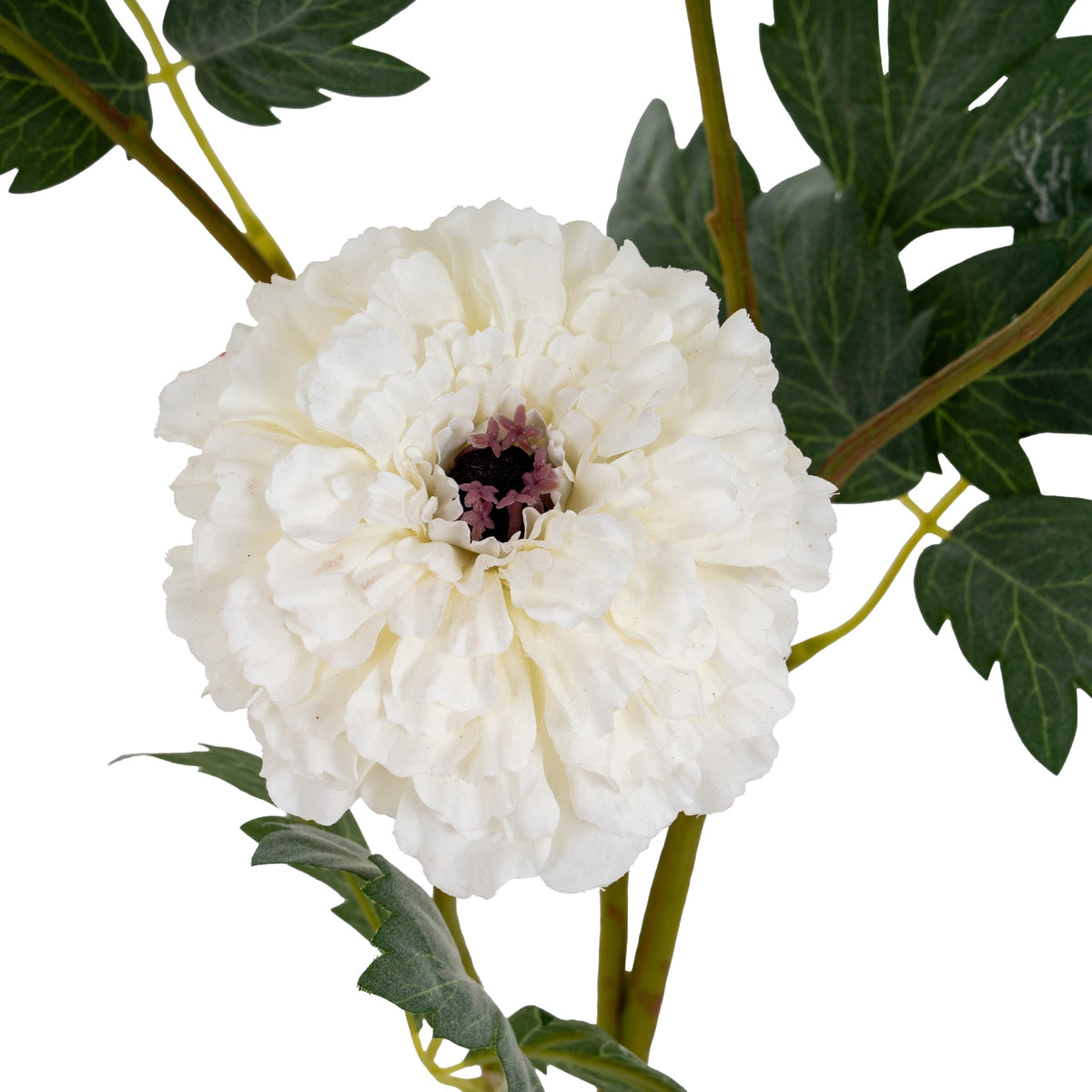 White African Marigold Large Spray