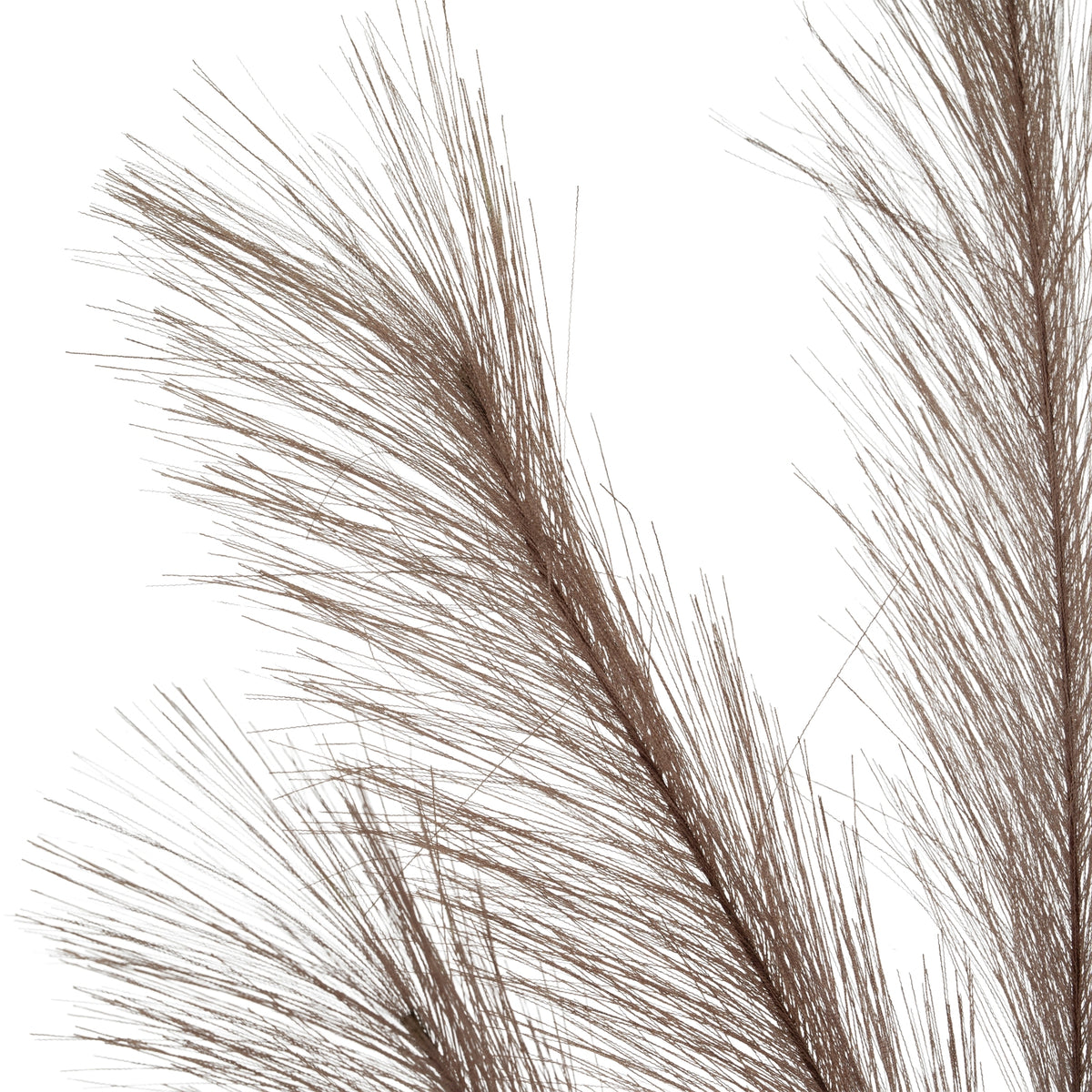 Grey Large Faux Pampas Grass Stem