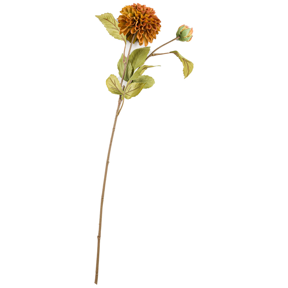 Deep Mustard Dahlia Stem