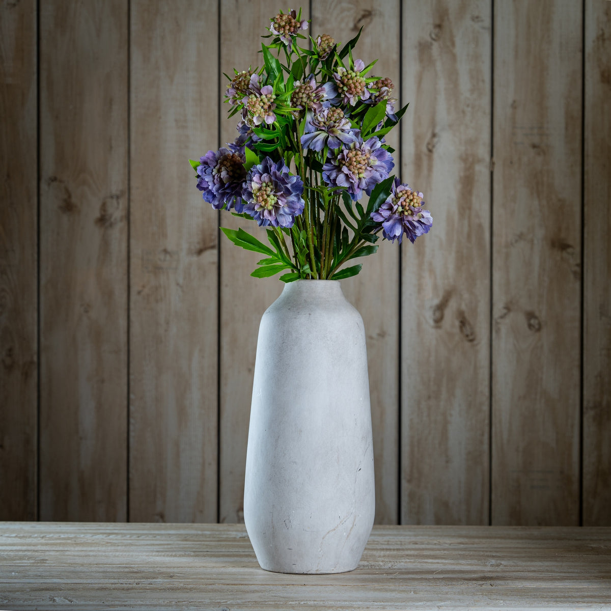 The Natural Garden Collection Purple Scabious Stem