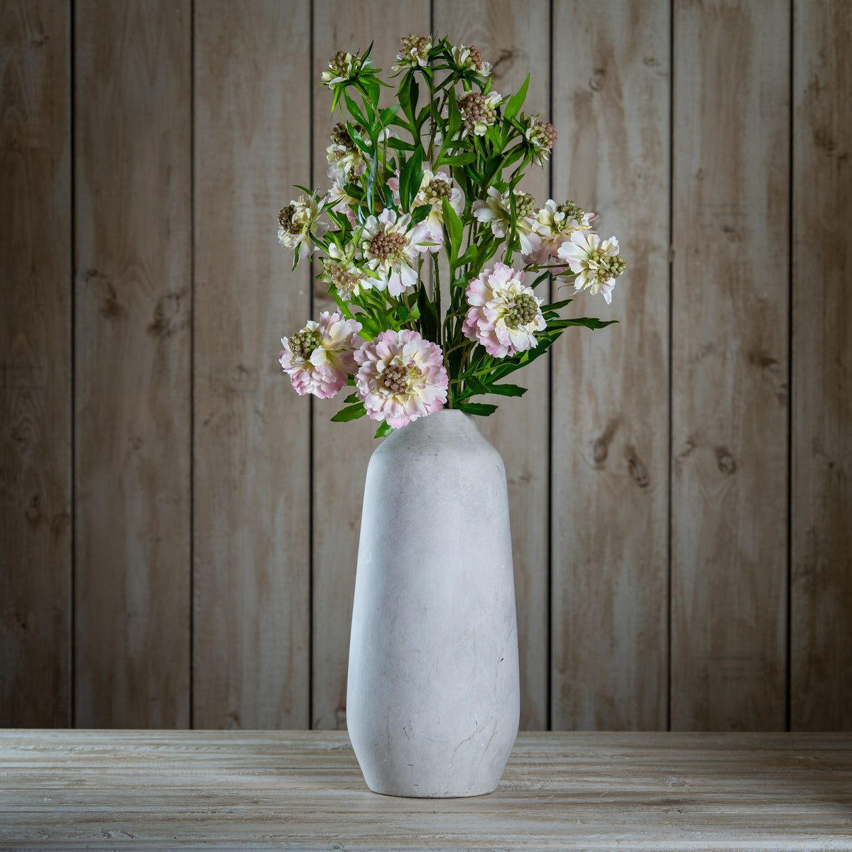 The Natural Garden Collection Pale Pink Scabious Stem