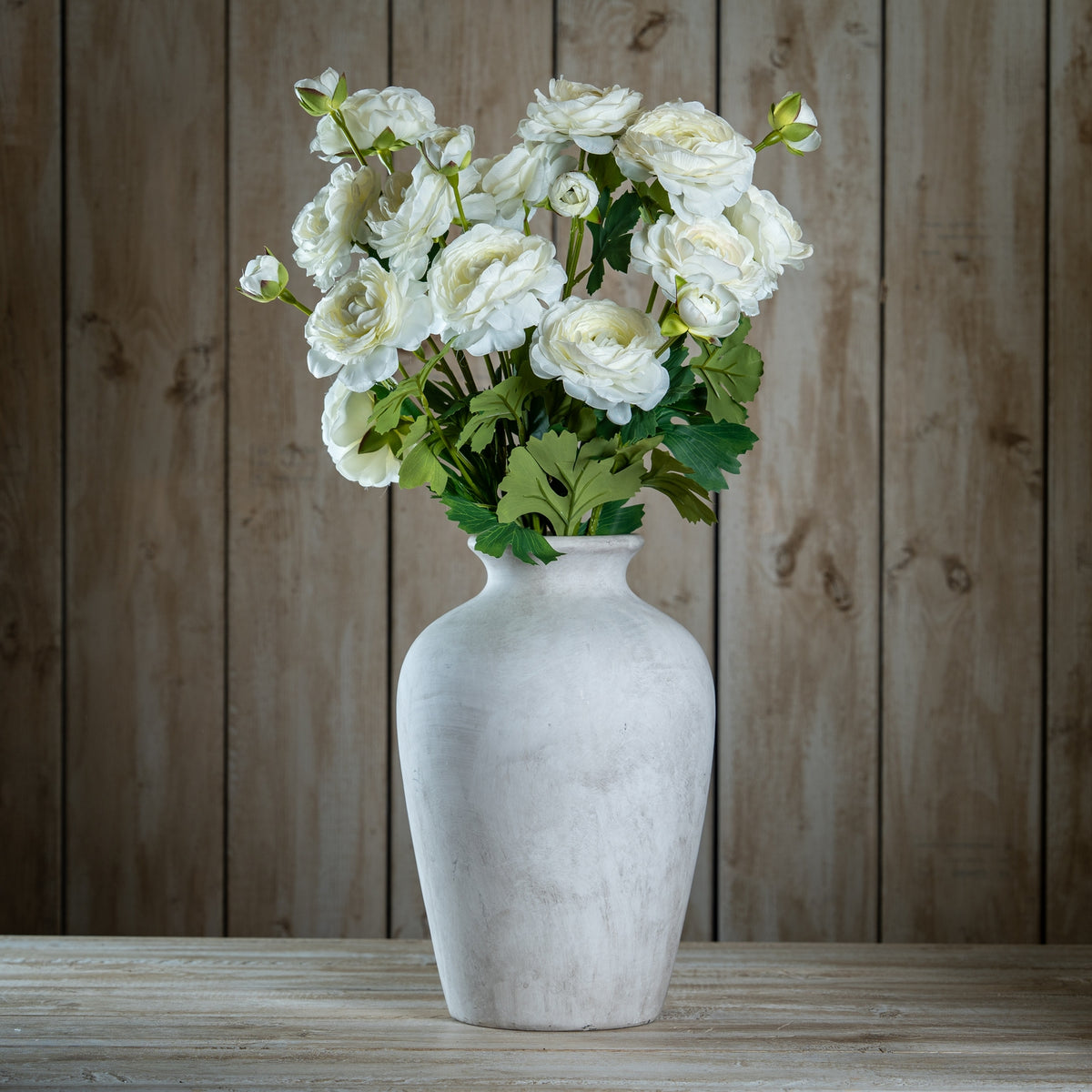 The Natural Garden Collection Apricot Ranunculus