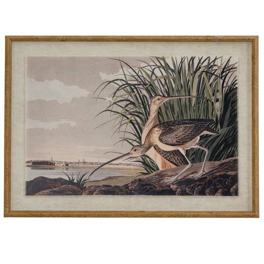 Flora & Fauna Collection Curlews On Linen In Beaded Frame