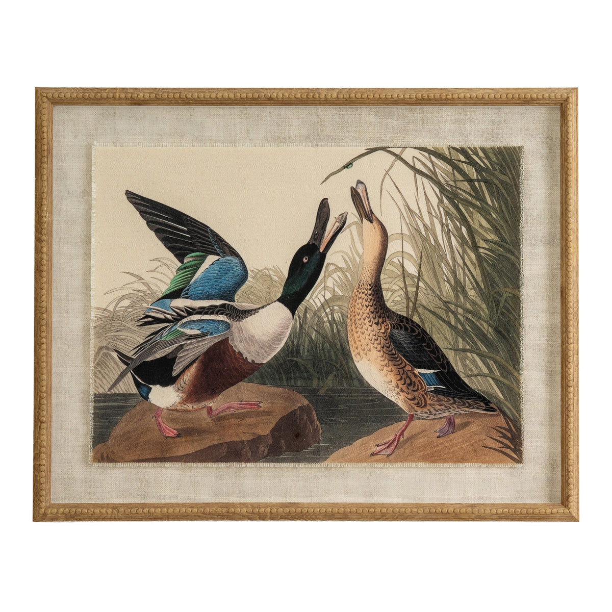 Flora & Fauna Collection Mallards On Linen In Beaded Frame
