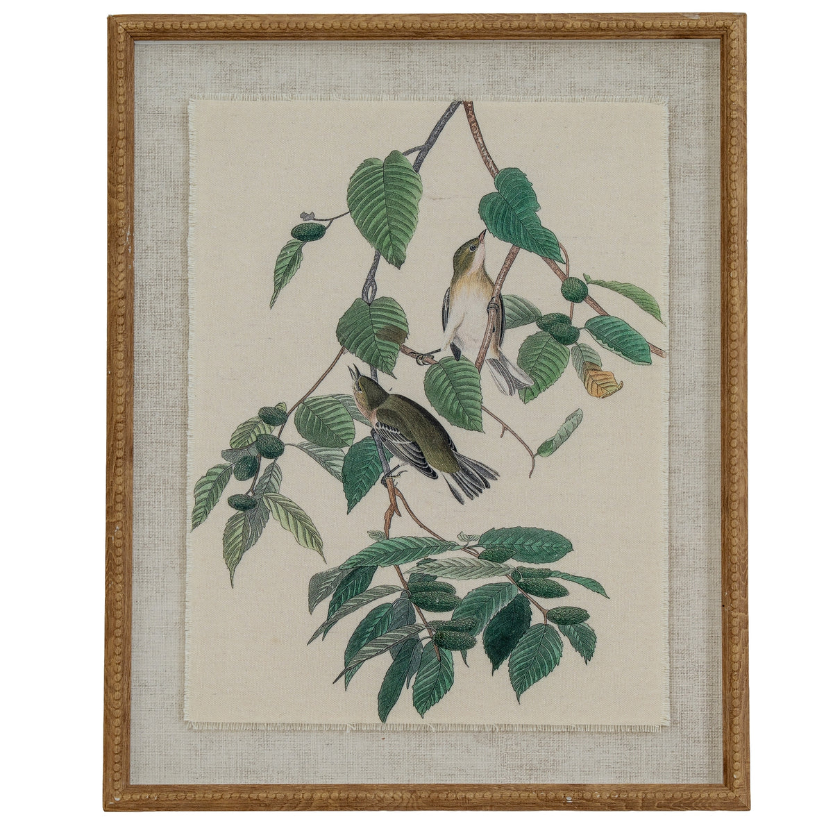 Flora & Fauna Collection Warblers On Linen In Beaded Frame