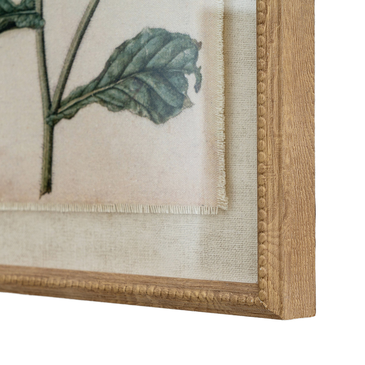 Flora & Fauna Collection Borage On Linen In Beaded Frame