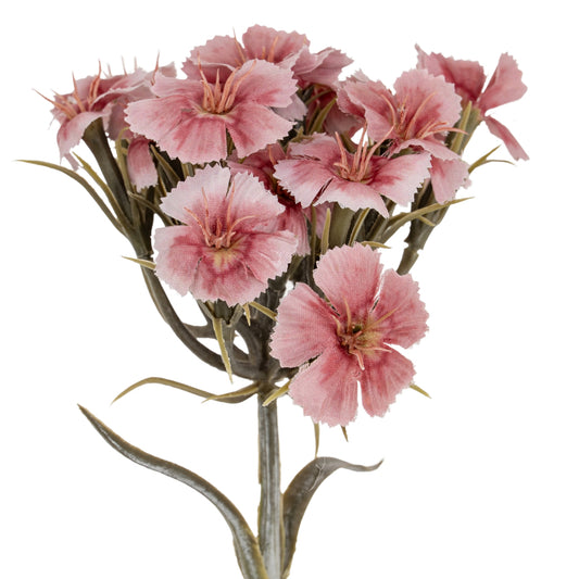 Pink Dianthus Spray