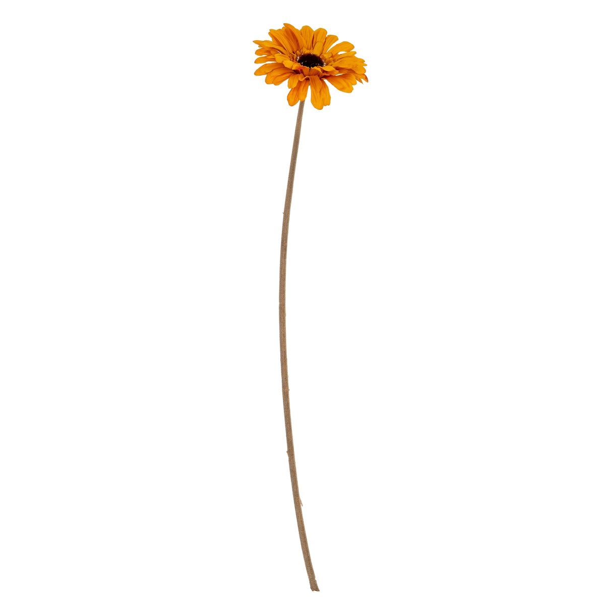 Orange Gerbera Stem