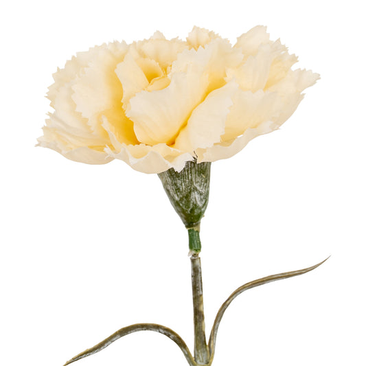 Cream Carnation Stem