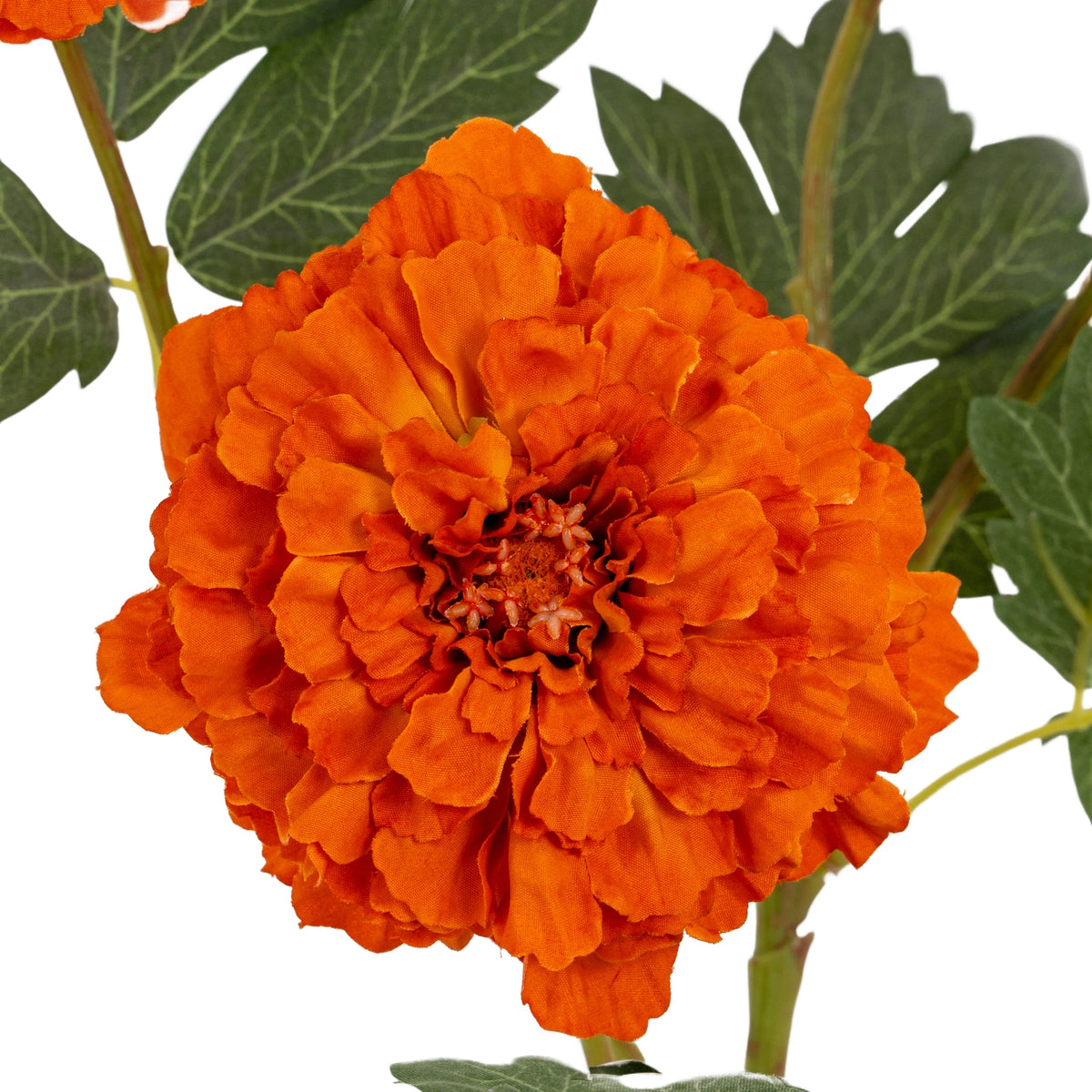 Orange African Marigold Large Spray