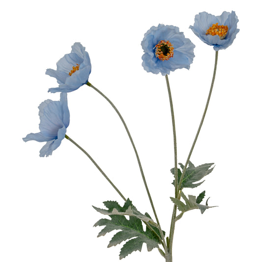 Blue Papaver Poppy Spray
